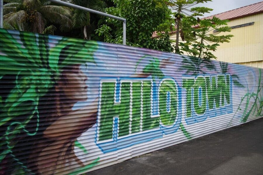 2-Hour Hilo Ghost Walks Tour - The Pacific Tsunami Museum and Hilo’s difficult memories