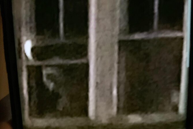 A Ghost Hunting Tour Specters and Apparitions in Salem - Weather, walking, dogs, and family rules
