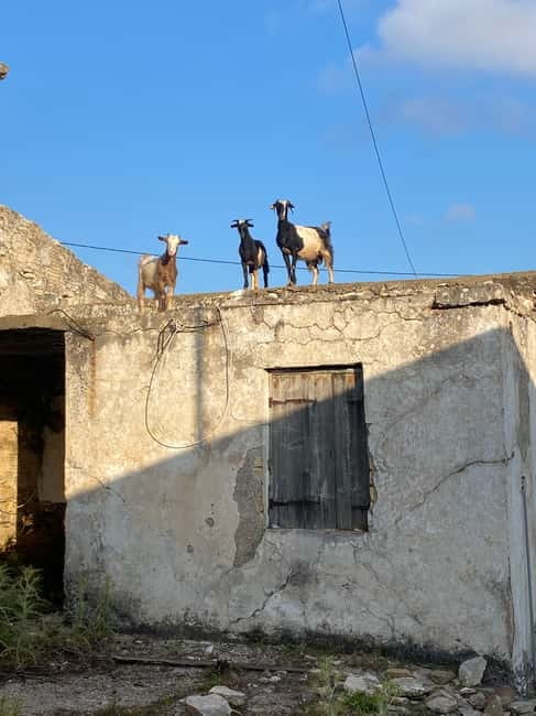 Agia Pelagia: Sunset or Morning Quad Tour & Ghost Town Visit - Returning to Agia Pelagia with raki and a sweet