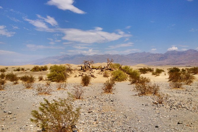Arizona Ghost Towns and Wild-West Day Trip from Las Vegas - Heat, walking, and what to pack