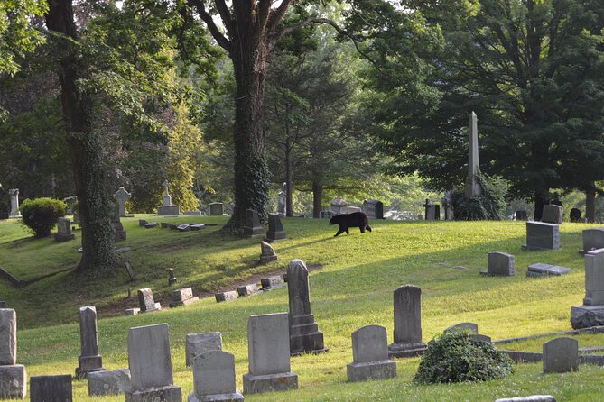 Asheville Ghost Tour: A Walk Through Riverside Cemetery & Montford Neighborhood - What the guides add to the night