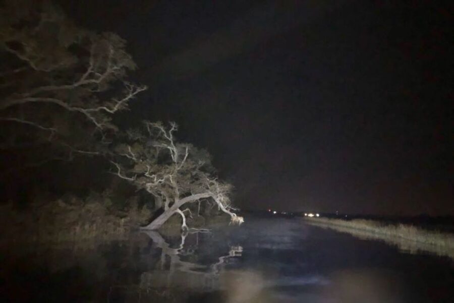 Bay Saint Louis, MS: The Haunted Bayou Cruise - Rain, wind, bugs, and other practical realities
