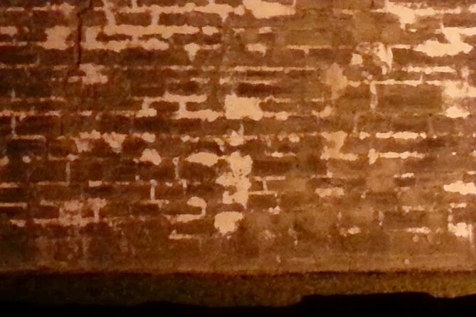 Bones Under Us, Ghost Tour with Archeology - Huguenot Cemetery and the forgotten dead