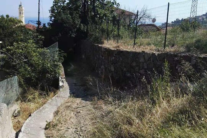 Bussana: a ghost village saved by art - The walk from Bussana Nuova to the old village