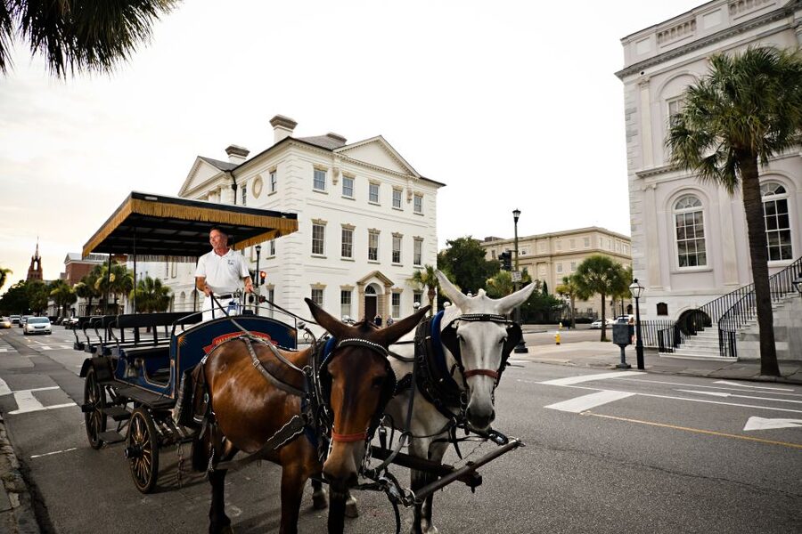 Charleston: Haunted Horse-Drawn Carriage Evening Tour - Four Corners of Law and the old civic center