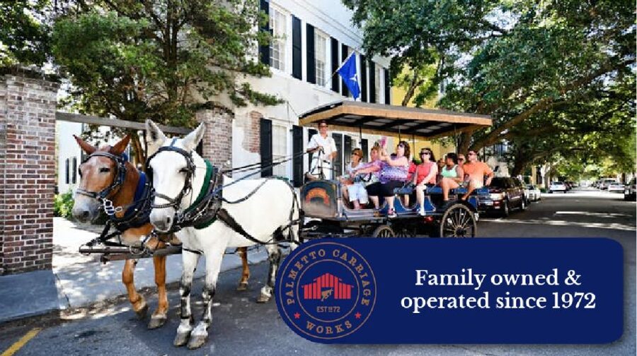 Charleston: Haunted Horse-Drawn Carriage Evening Tour - A carriage ride through Charleston after dark