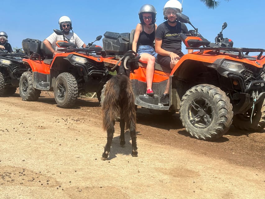 Crete: Quad Safari, Olive Mill with Tasting & Ghost Village - Learning how Crete makes olive oil