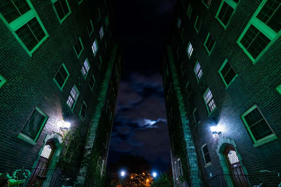 Denver: Denver Terrors Guided Ghost Tour - What the guides add to the experience