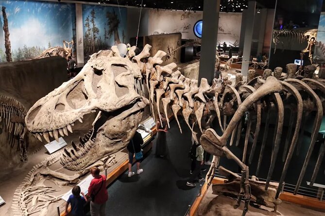 Dinosaurs, Canyons & Ghost Towns: Ultimate Drumheller Day Tour - Who should book this tour?