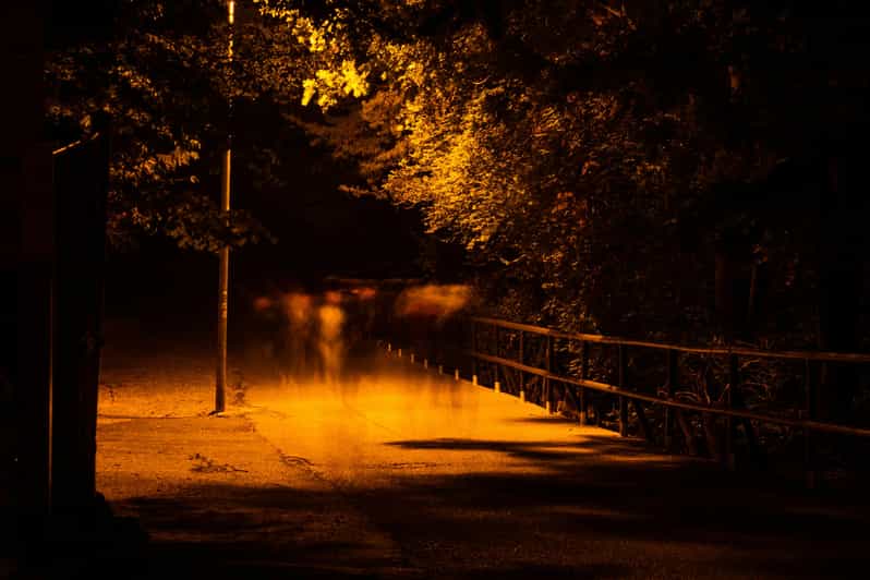 Dublin walking tour: ghosts & haunted places - Starting beside Saint Stephen’s Green