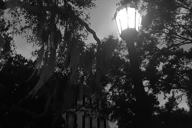 Fraidy Cat: The Family Fun Ghost Tour of Savannah - What the guides add to the experience