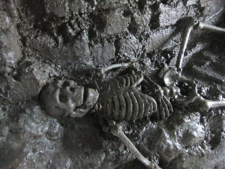 From Dublin: Gravedigger Ghost Bus Tour - Glasnevin Cemetery and the Body Snatcher Tales