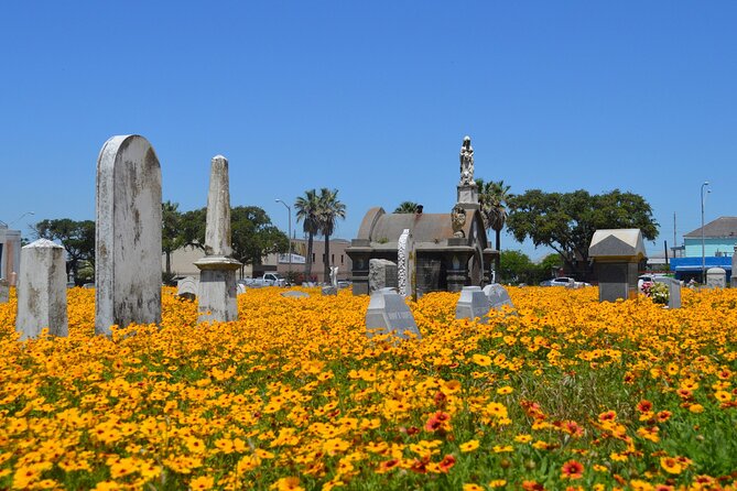 Galveston's Haunted Cemetery Walking Tour - The Yellow Fever Yard and Galveston’s darker chapters