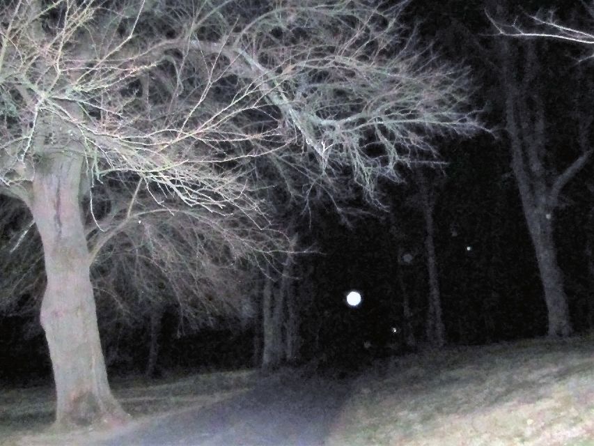 Gettysburg: Ghost Hunt Tour with Ghost Hunting Equipment - How the guides shape the evening