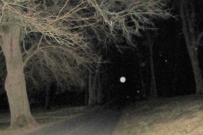Gettysburg: Ghost Hunt Tour with Ghost Hunting Equipment - Meeting the guide at Unity Park
