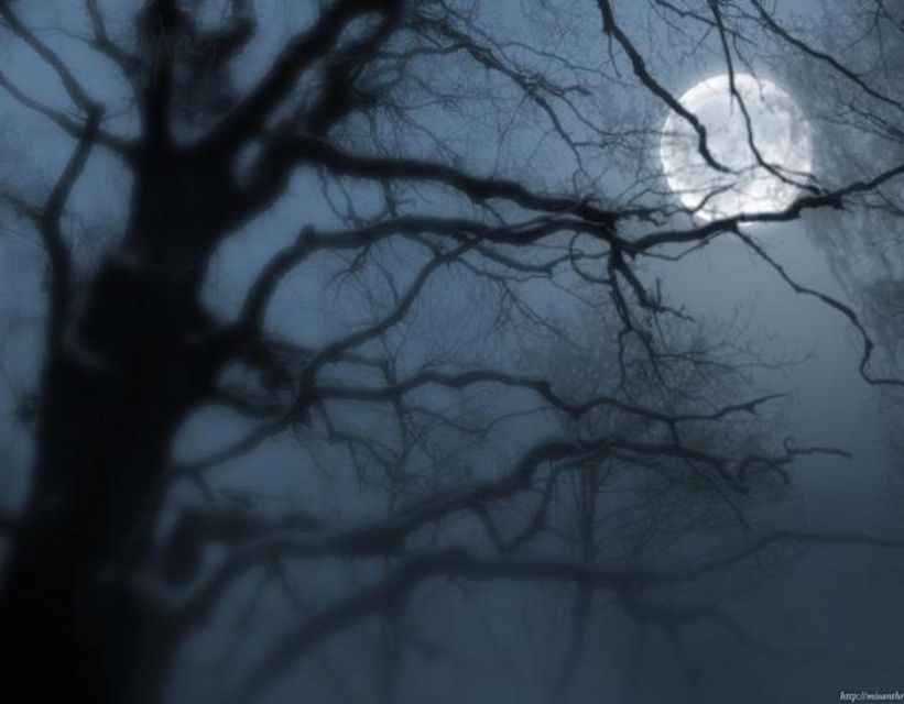 Gettysburg: Paranormal Investigation at the Farnsworth Inn - Should you book the Farnsworth House investigation?