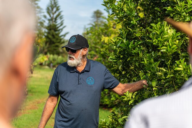 Ghost Tour & Dinner Norfolk Island - How the three-hour schedule works