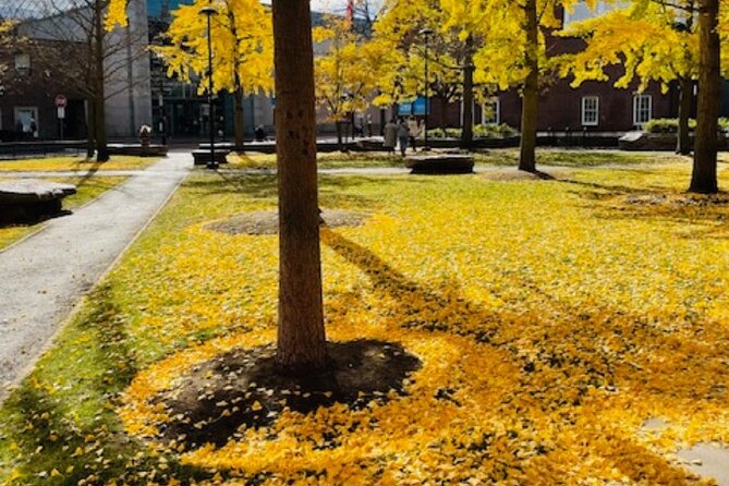 Ghostly Tales of Salem Walking Tour - Ending at Old Town Hall in Derby Square