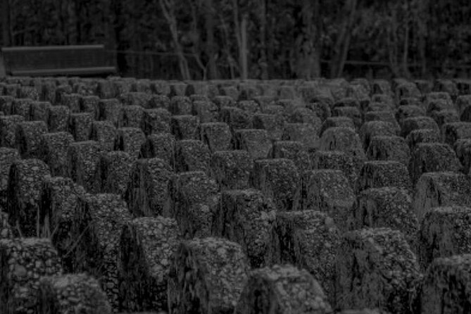 Goodna Cemetery Haunted History Tour - The guide can make or break the evening