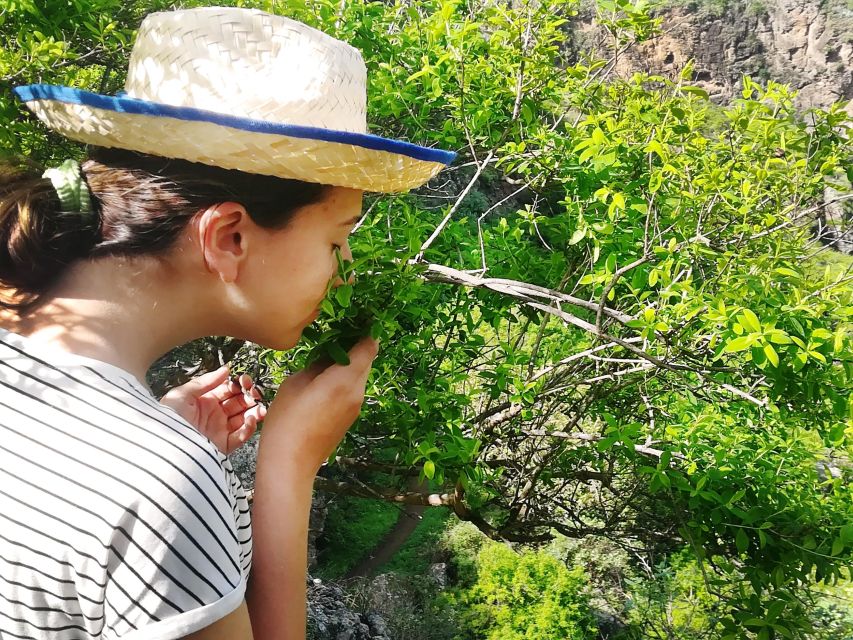 Gran Canaria: Green Witchcraft in the Magic Island - Why this Firgas experience feels different