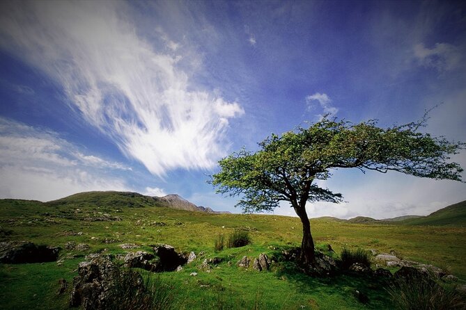 Haunted Bog road tour. Galway. Private guided. 3 hours - What the private format really gives you