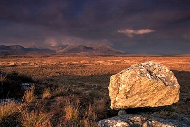 Haunted Bog road tour. Galway. Private guided. 3 hours - A guide can make or break the afternoon