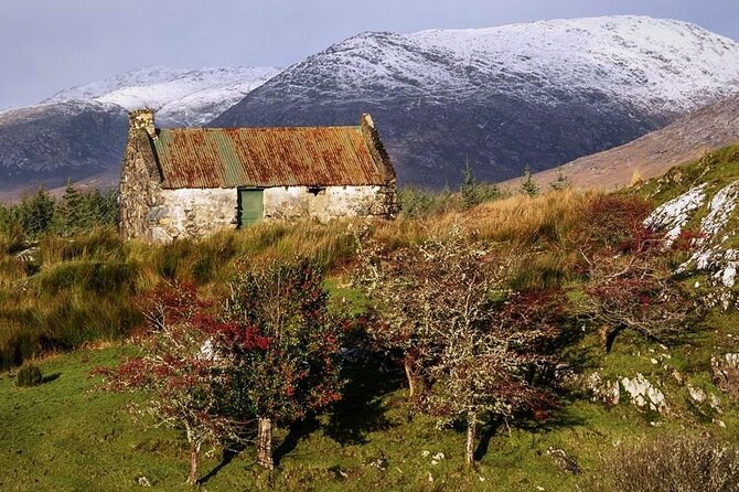 Haunted Bog road tour. Galway. Private guided. 3 hours - Who will enjoy the Bog Road most?