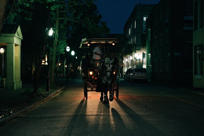 Haunted Evening Horse and Carriage Tour of Charleston - Family appeal, accessibility, and comfort