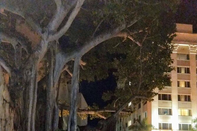Haunted History of Fort Myers Walking Tour - Sidney & Berne Davis Art Center: old walls and local accounts