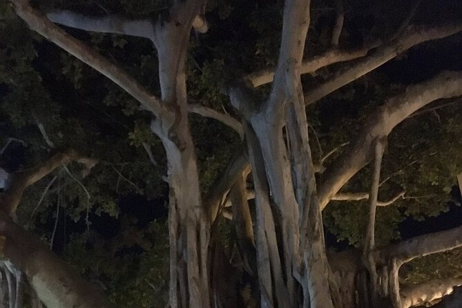 Haunted History of Fort Myers Walking Tour - Guides make or break this 90-minute walk