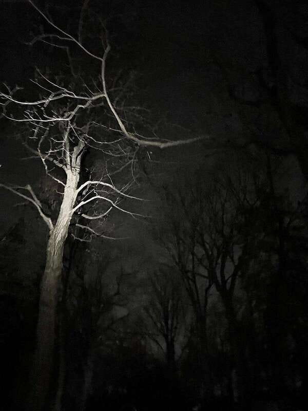 Haunted Mountain Ghost Walking Tour - Key points to know before you go