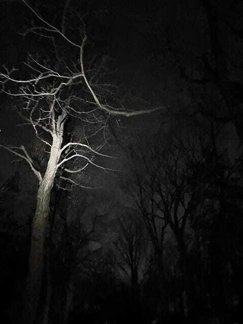 Haunted Mountain Ghost Walking Tour - Is $24 good value?