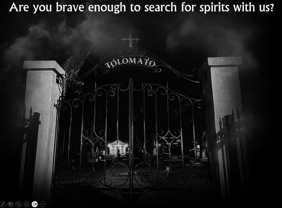 Haunted St. Augustine Semi-Private Paranormal Investigation - Using your senses and paranormal tools