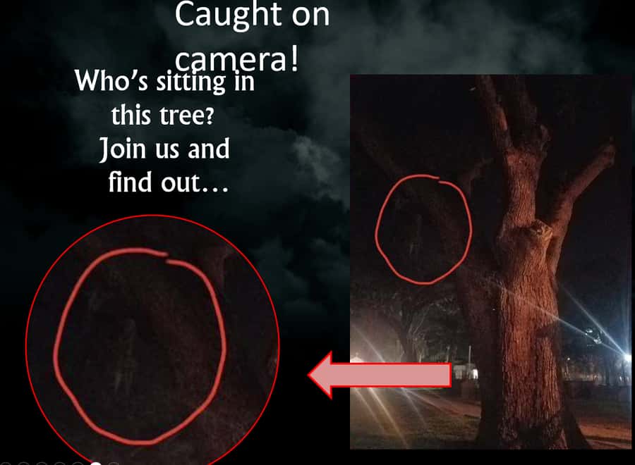 Haunted St. Augustine Semi-Private Paranormal Investigation - Is $39 a fair price?