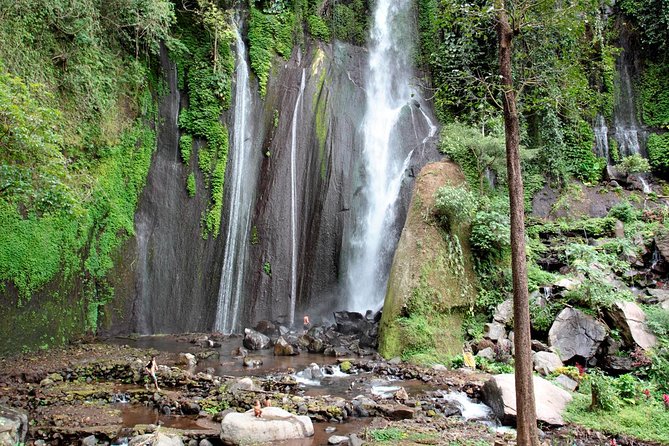 Haunted Valley Waterfall ATV and Bike Tour - Who will enjoy this tour most?