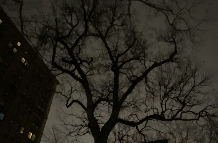 Haunted Village of New York City walking tour - Key points to know before you book