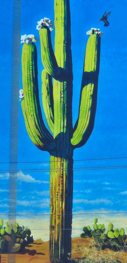 Historic Tucson Walking Tour - Starting at the courthouse and meeting Tucson’s past