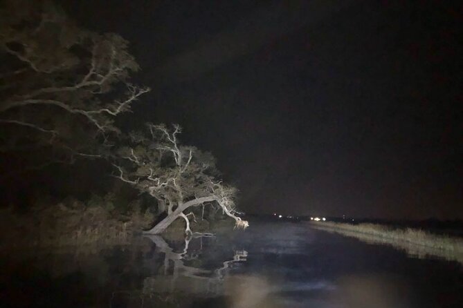 Historical Haunted Bayou Cruise - Is $79 a good value?