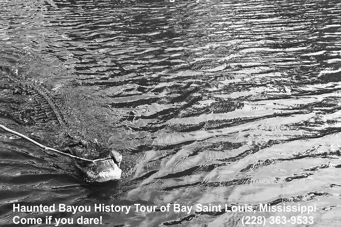 Historical Haunted Bayou Cruise - What makes this experience different