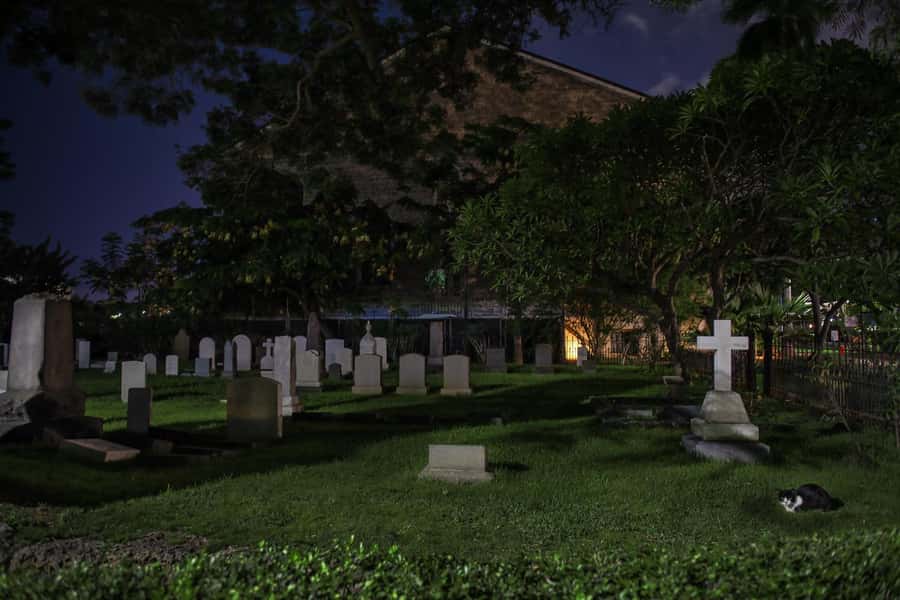 Honolulu Haunts: Ghosts and Spirits Walking Tour - What you will not get inside the $27 price