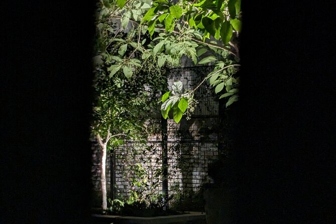Interactive Paranormal Ghost Walking Tour in Savannah Georgia - What this Savannah ghost walk is really like