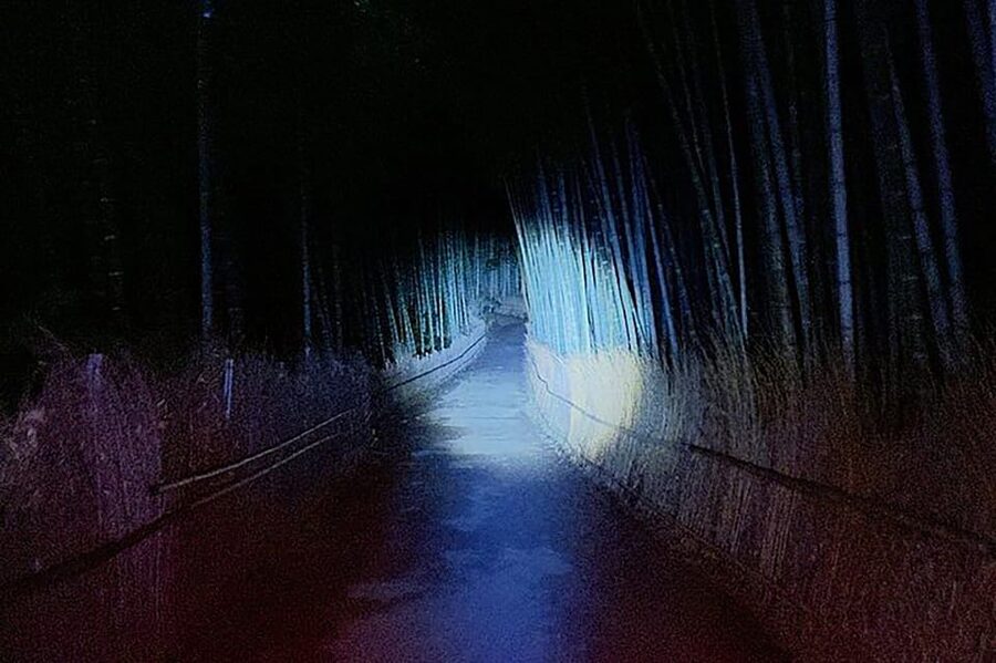 Kyoto: Ghost Tour - Legends, Dark Tales, Bamboo Forest Night - The solo walk through the dark