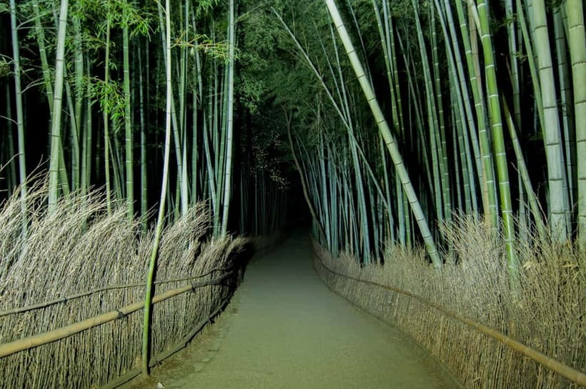 Kyoto: Ghost Tour - Legends, Dark Tales, Bamboo Forest Night - Nonomiya Shrine and the final surprise