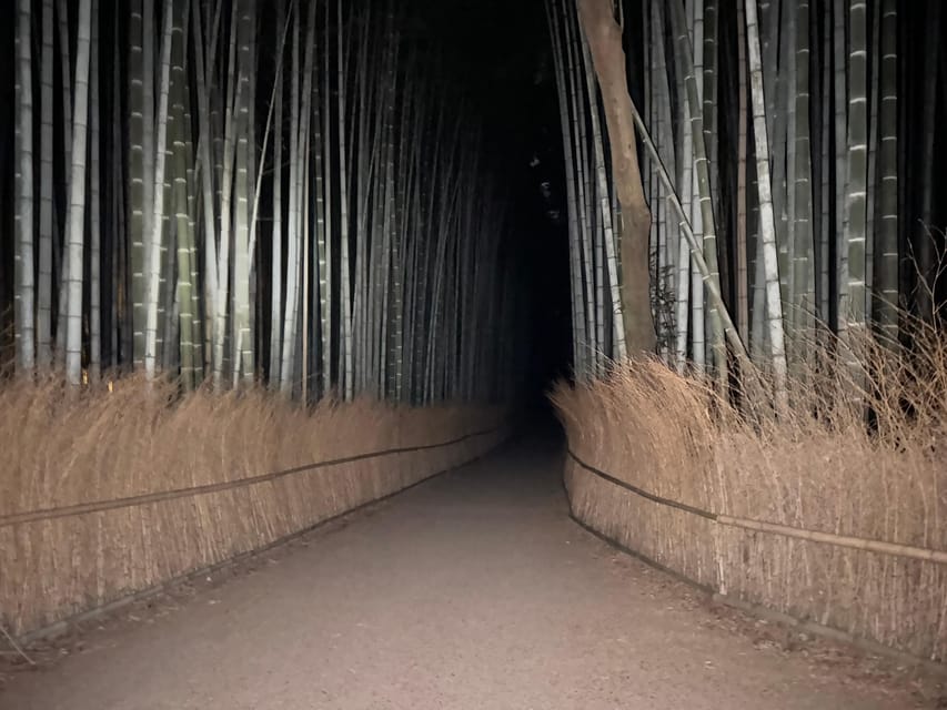 Kyoto: Ghost Tour - Legends, Dark Tales, Bamboo Forest Night - Who will enjoy this most