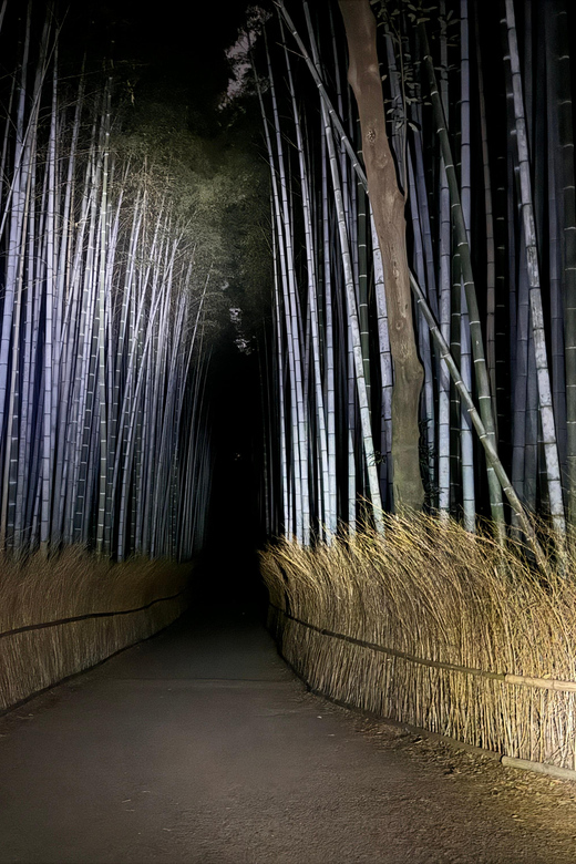 Kyoto: Ghost Tour - Legends, Dark Tales, Bamboo Forest Night - Passing through Arashiyama after dark