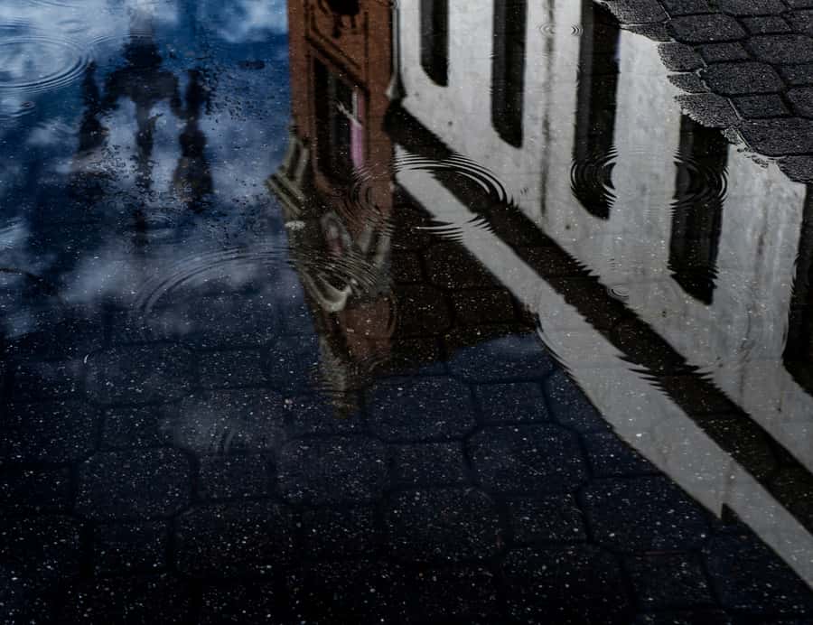 Memphis: Bluff City Ghosts Haunted Walking Tour - What the guide can make or break