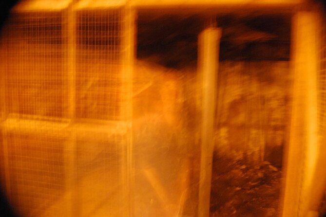 Murder & Mayhem Haunted History Walking Tour - The guides make or break the evening