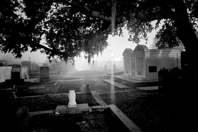 New Orleans Cemetery Bus Tour with Exclusive Cemetery Access - Why New Orleans cemeteries look different