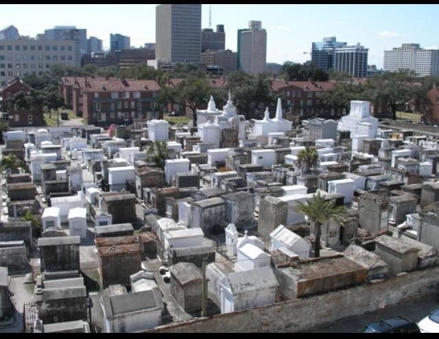 New Orleans Haunted Excursion Walking Tour - Architecture, celebrity homes, and the walk between stops