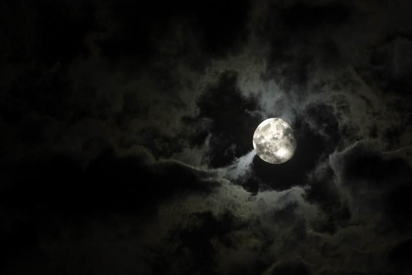 New Orleans Haunted Excursion Walking Tour - Drinks, children, and the evening atmosphere